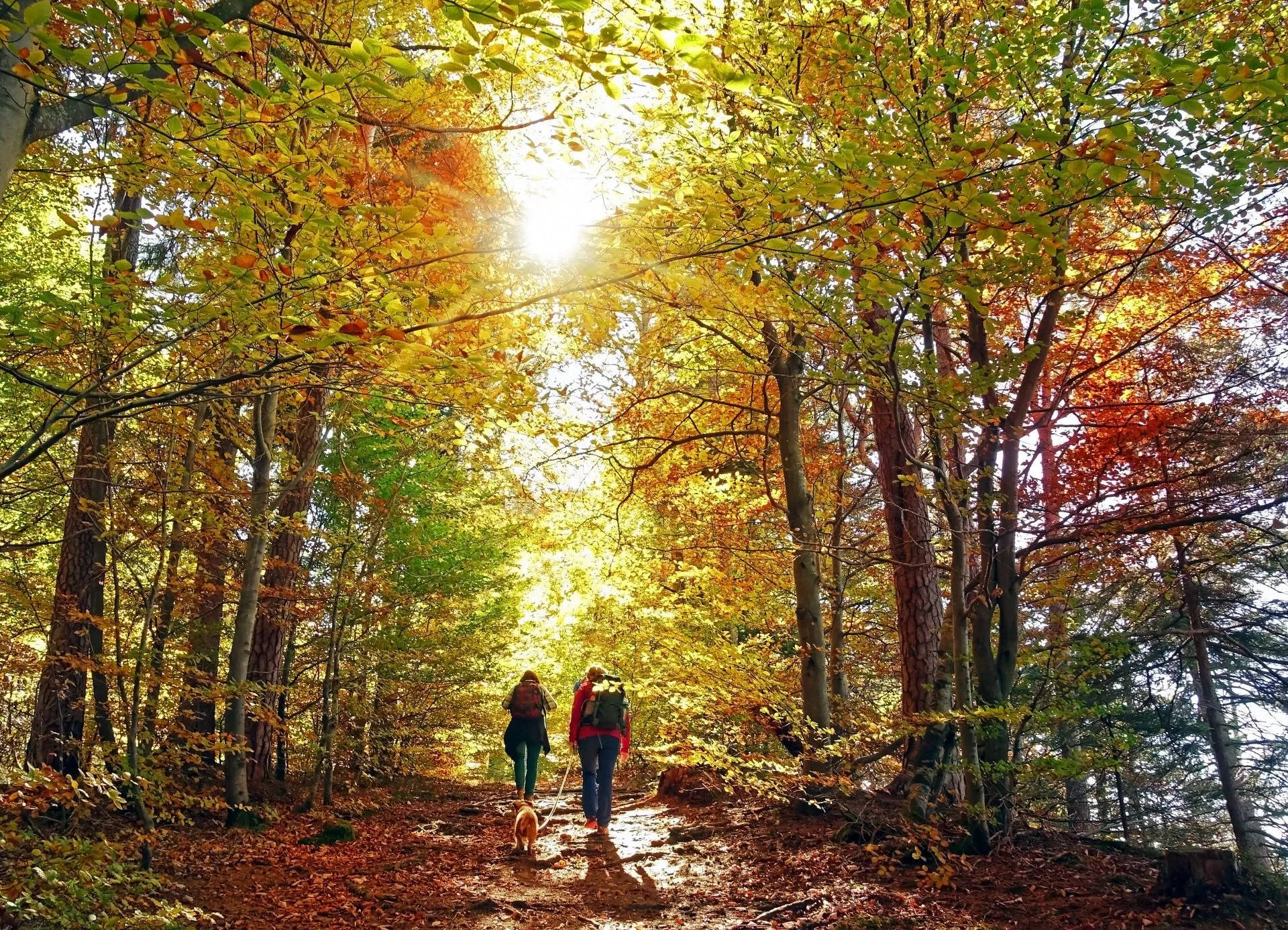 The Birches at Villa Rica - Two Seniors walking in the forest