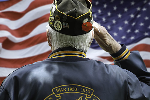 Preparing Your Senior Loved One for Memorial Day - Villa Rica, GA